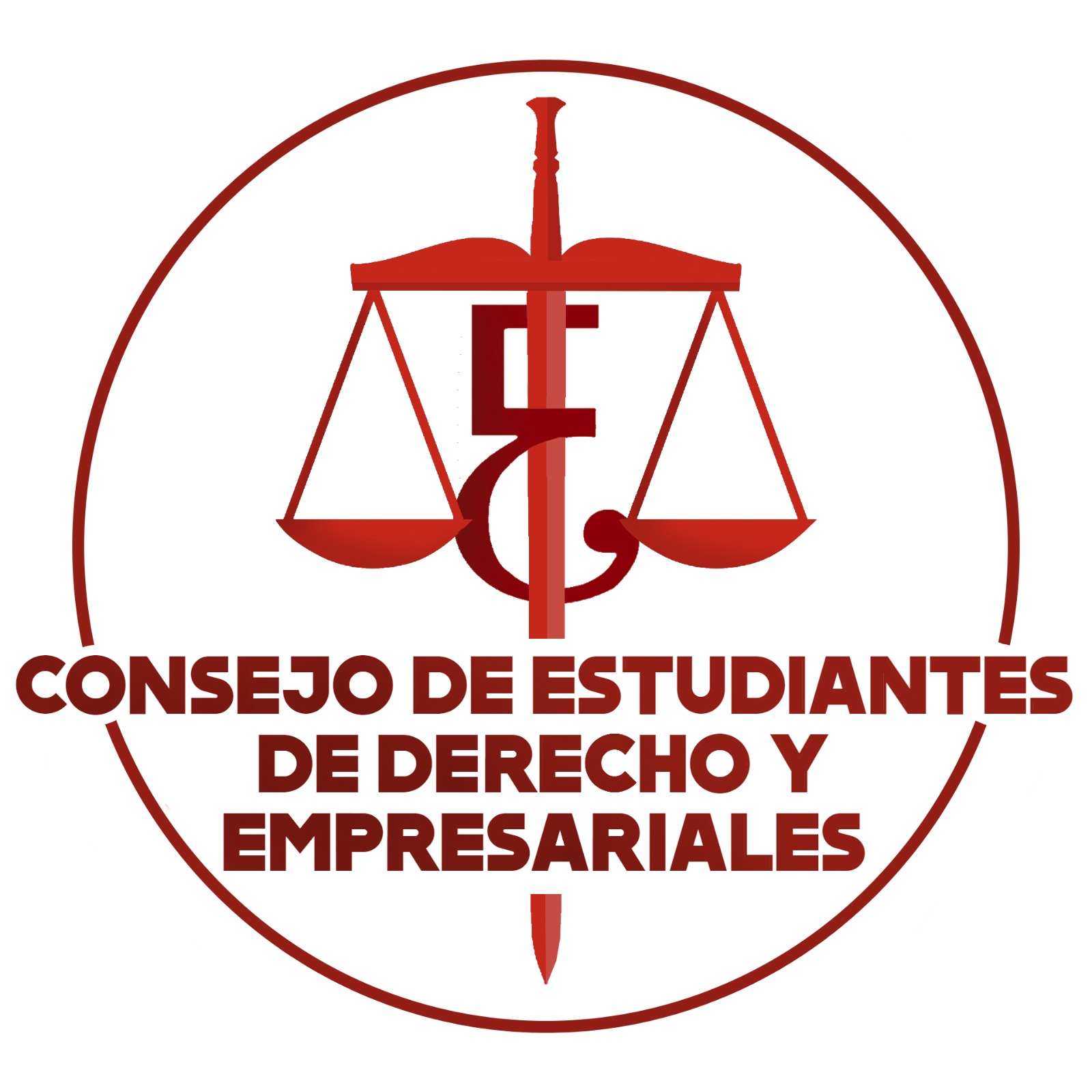 Consejo estudiantes