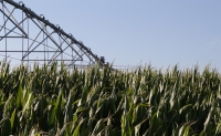 Sistema de riego automatizado en la Finca de Rabanales