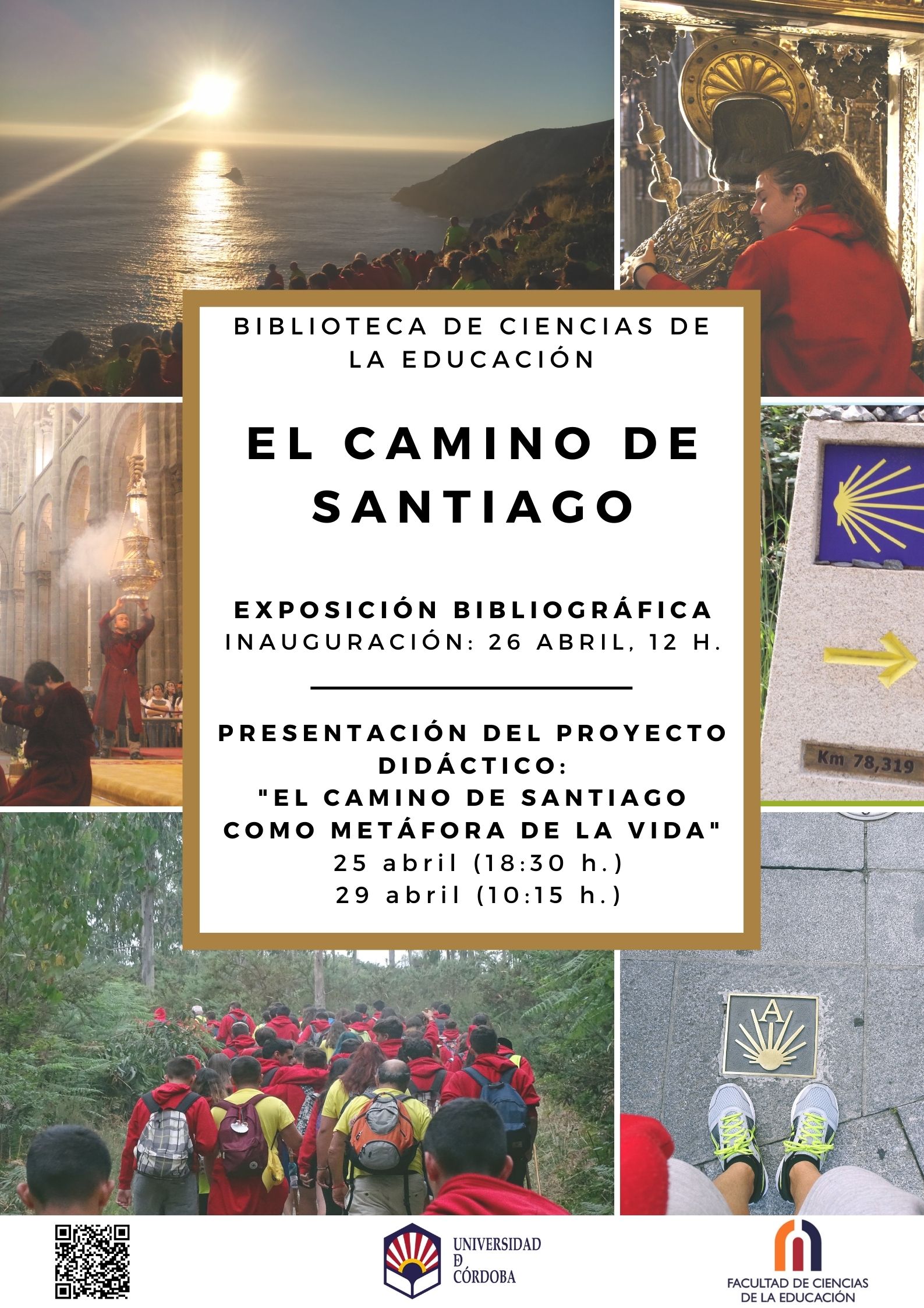 Cartel general Camino de Santiago