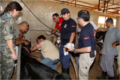 Ciruga de emergencia en Sarda