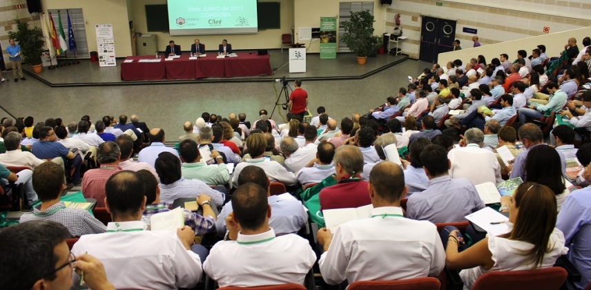 Un encuentro internacional analiza en la UCO los retos del conocimiento y experimentación que plantea el olivar en seto