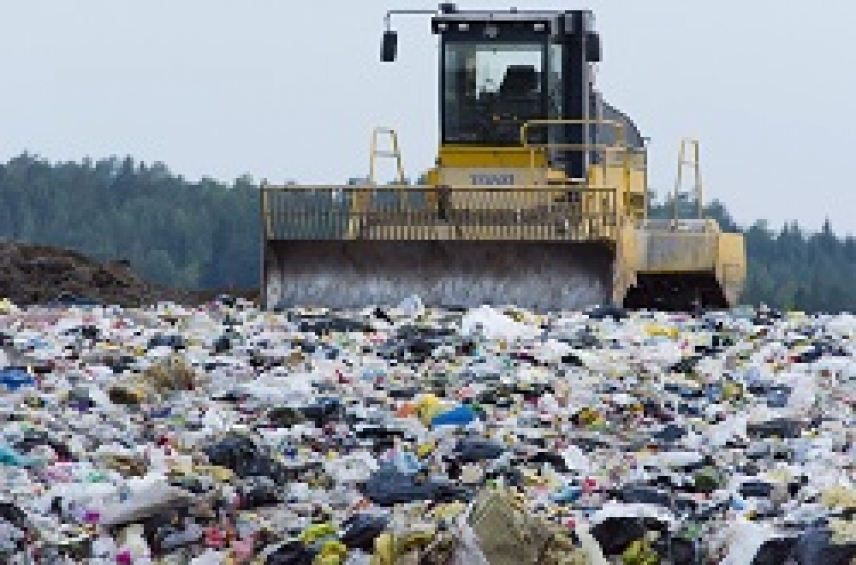 How smelly is your rubbish?